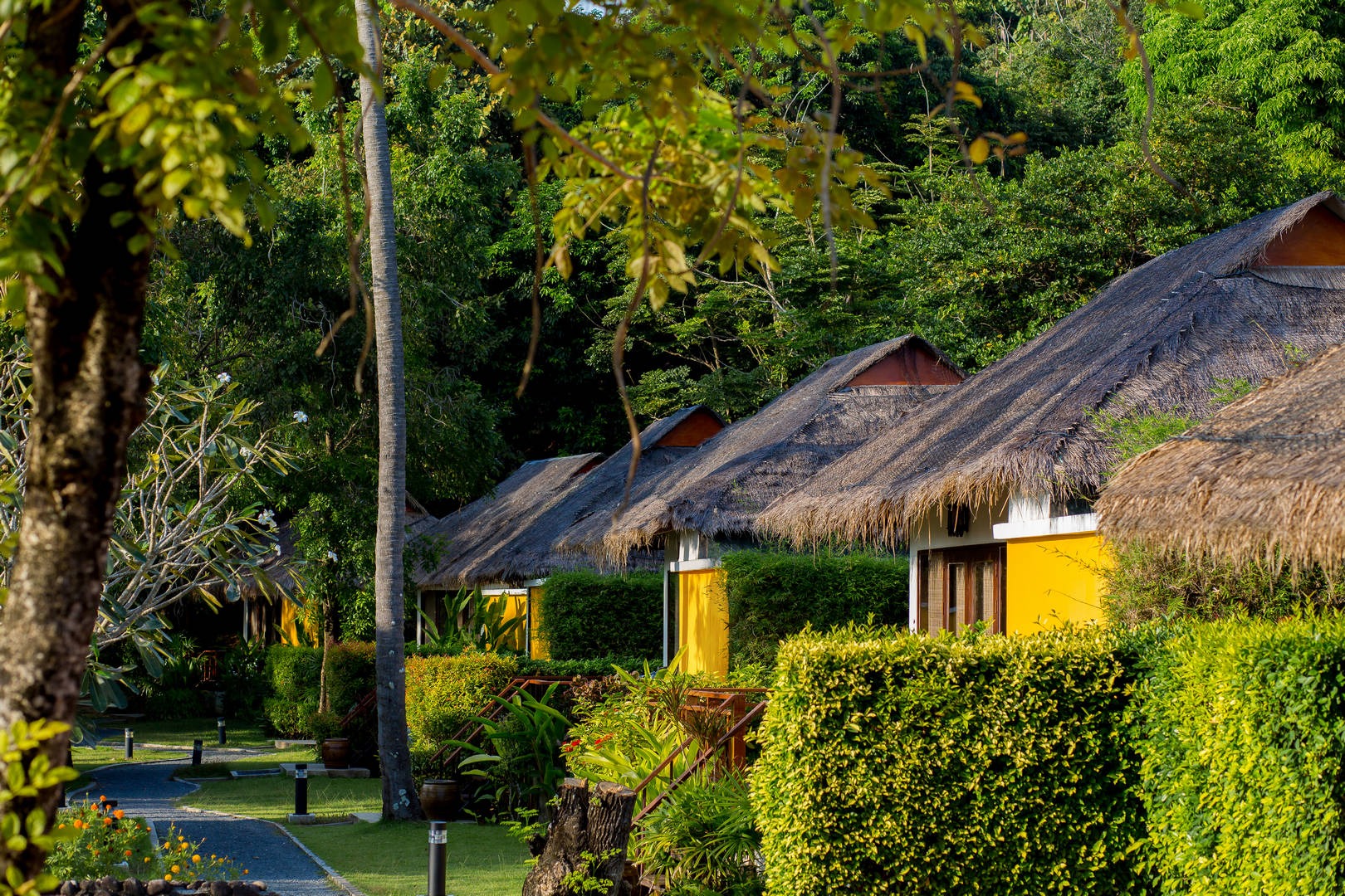 Glow-Elixir-Koh-Yao-Yai_0014_tn-1